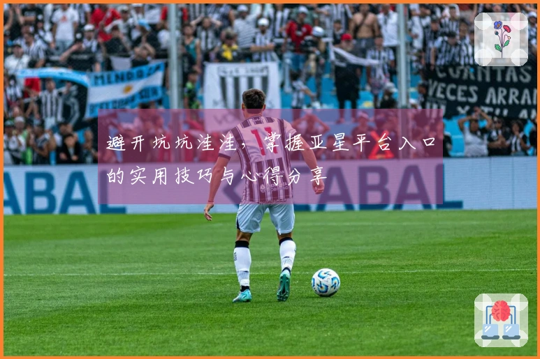 避开坑坑洼洼，掌握亚星平台入口的实用技巧与心得分享