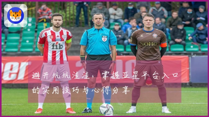 避开坑坑洼洼，掌握亚星平台入口的实用技巧与心得分享